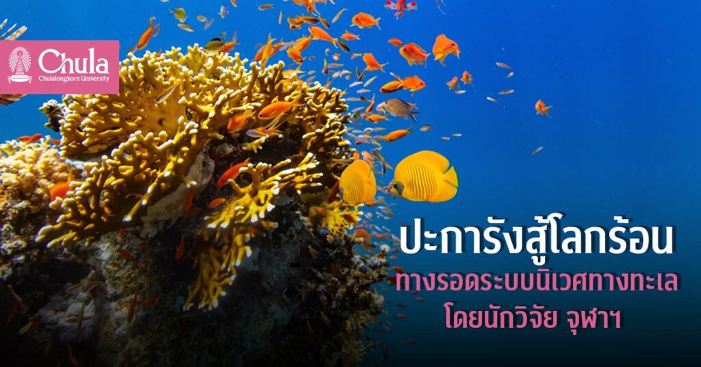 ปะการังสู้โลกร้อน